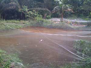 Earthen ponds in Ogun State Nigeria